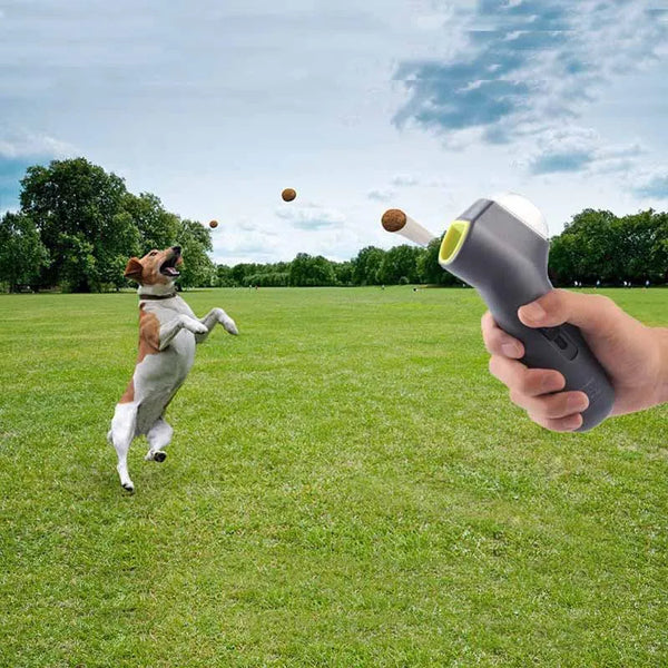 Interactive Games Dog Snack Catapult Launcher